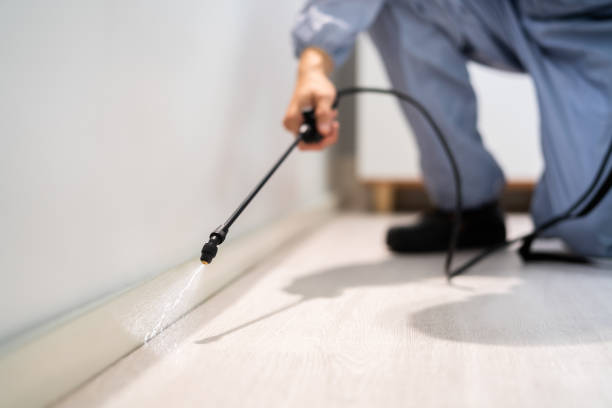 Licensed Cockroach Control service in Broken Arrow, OK - Nex Pest Control