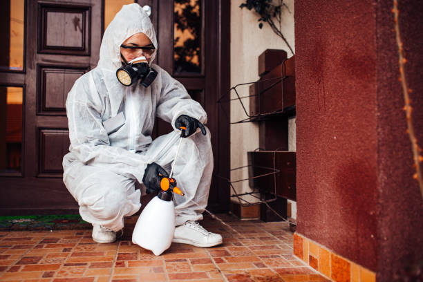 Reliable Cockroach Control contractor in Broken Arrow, OK by Nex Pest Control